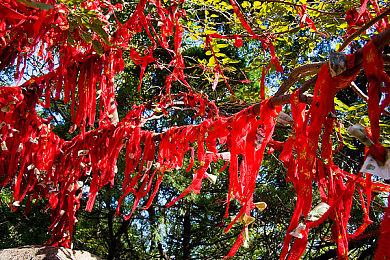 玩家自制天野喜孝版《最终幻想7：重制版》巴雷特